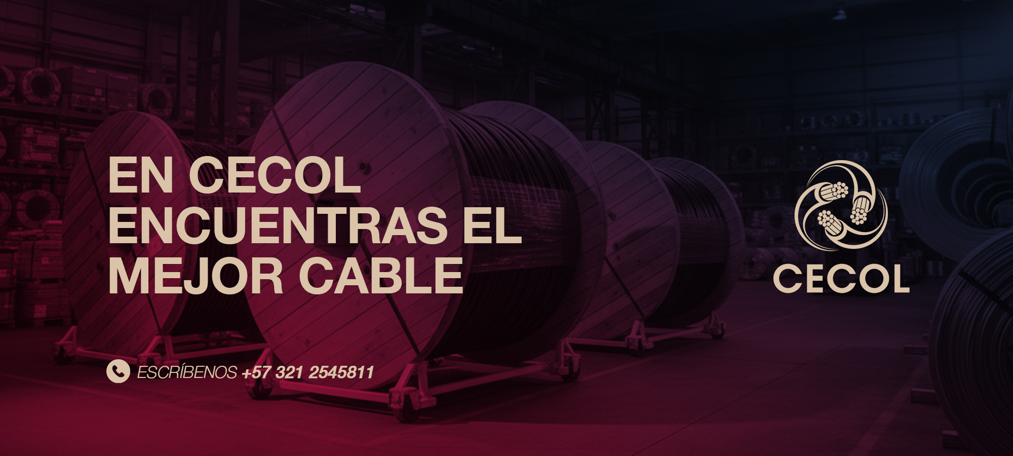 Banner_2000x900_Cecol Art 1